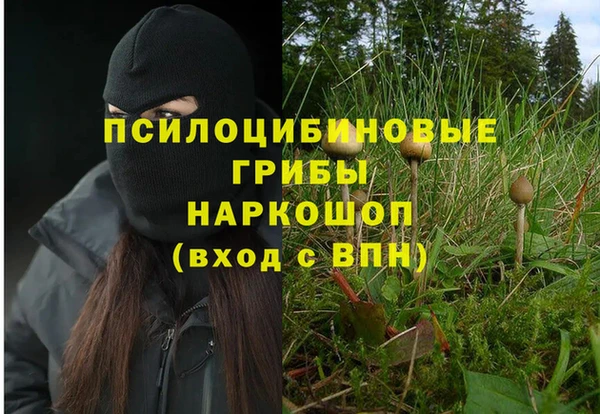 тгк Михайловск
